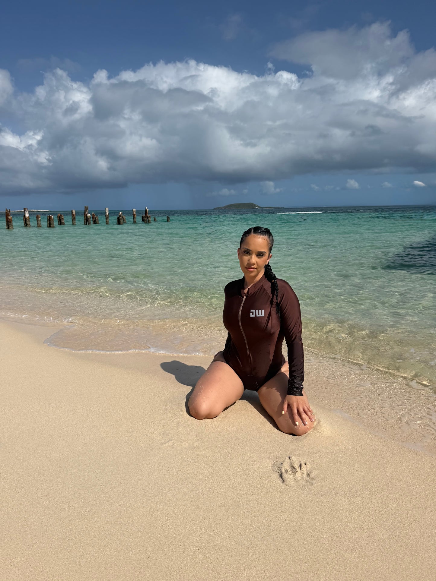 Dark Brown Long-Sleeve Swimwear