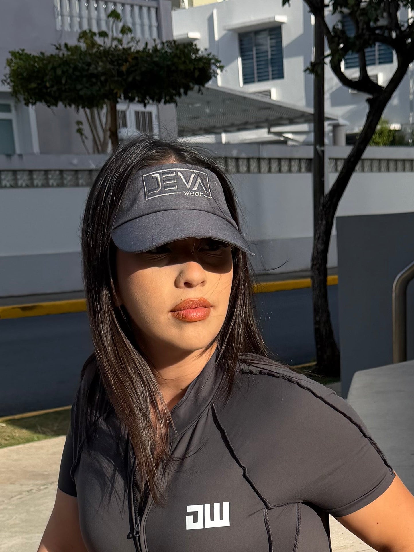 Visera Gris
